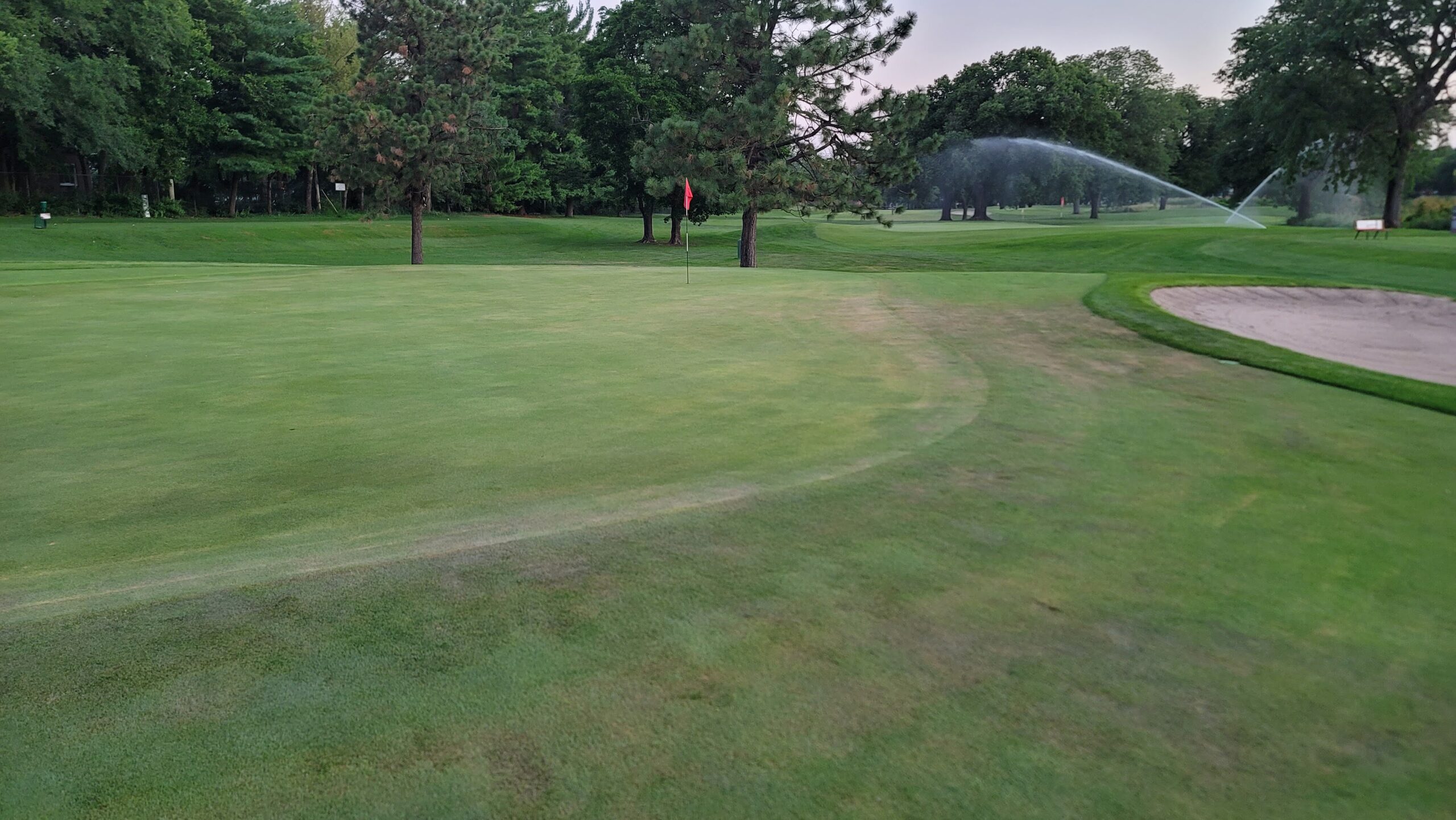 Causes and Management of Turf Stress