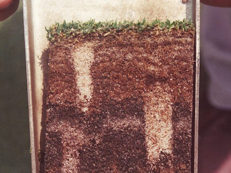 Turf Soil Management